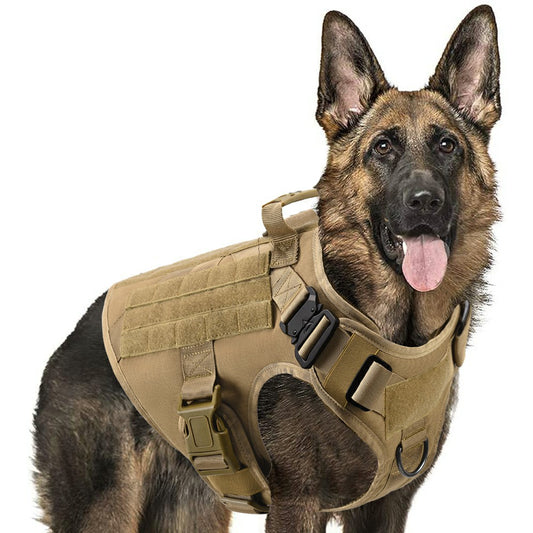 Military tactical dog harness and leash set with adjustable straps dual leash clips and breathable padding for training walking and outdoor adventures