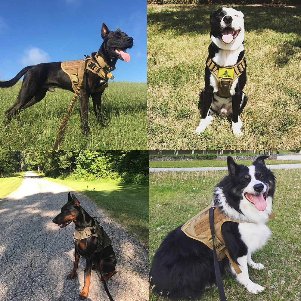 Military Dog Tactical Harness and Leash Set – Adjustable, Durable &amp; Fast Shipping